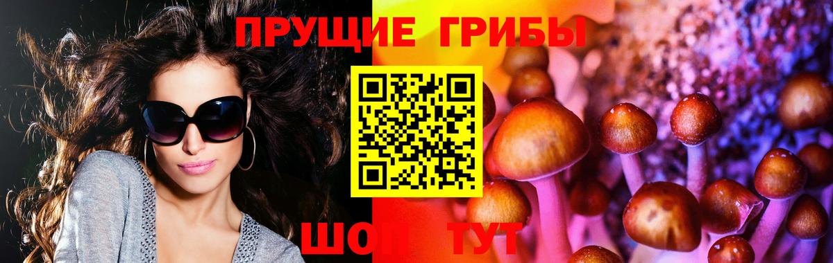 Галлюциногенные грибы мухоморы  Галлюциногенные грибы GOLDEN TEACHER  Советская Гавань  Вход с VPN 